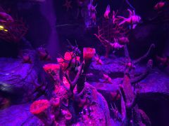 -沈阳海洋探索中心