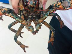 -008海鲜排档(朱家尖2号店)