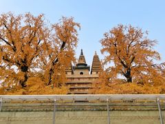 -北京石刻艺术博物馆(五塔寺)
