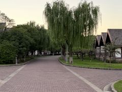 -太阳岛度假酒店