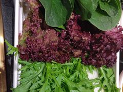 -南门四季铜锅涮肉(大屯·北苑店)