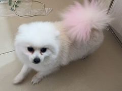 -宠颐生宠物医院·骨外科·犬猫全科诊疗中心(池州店)