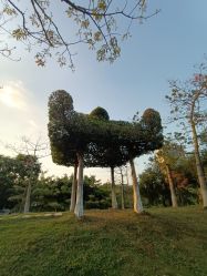 -番禺儿童公园