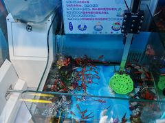 -星际传奇·电玩城·游戏厅·儿童乐园(大悦城店)
