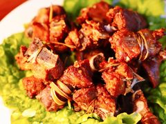 -翕庐小苑