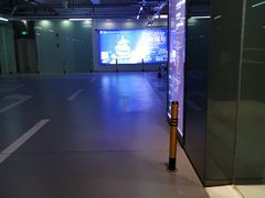 -棕榈MALL