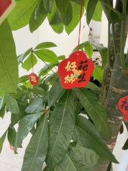 -和颜一美轻医美连锁