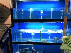 水产区-李东农庄(中南百草园地标店)