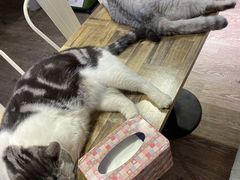 -小时光咖啡馆(开森度假森林店)