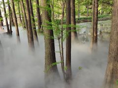 -东湖落雁景区