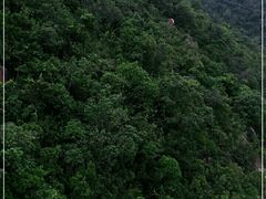-江门古兜温泉小镇