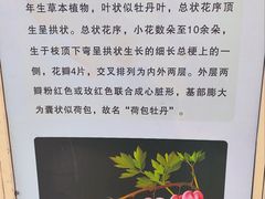 -郑州植物园