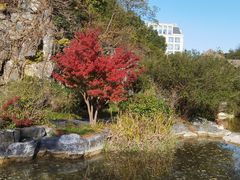 -上海吴淞炮台湾国家湿地公园