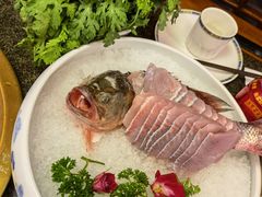 -小天鹅火锅·一线江景洪鼎旗舰店(洪崖洞店)