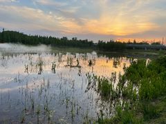 -白鹭湾湿地公园