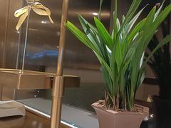 -海底捞火锅(公益西桥店)