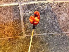 -老韩煸鸡·中国炸鸡(水塔美食街店)