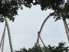 -珠海长隆海洋王国-鹦鹉过山车