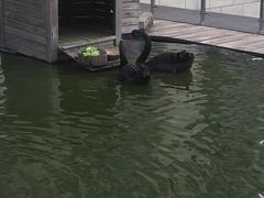 -行者书屋大堂吧 ·下午茶(南京圣和府邸酒店)