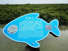 -北海金海湾红树林生态旅游区