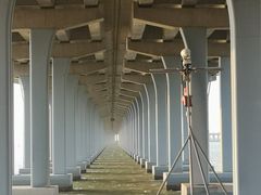 -宝安西湾红树林湿地公园