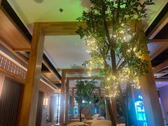 -星河湾温泉洗浴酒店