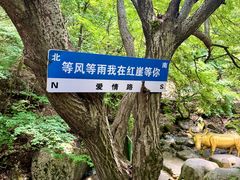 -红崖峡谷景区