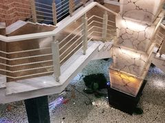-宝燕海鲜(好爱店)
