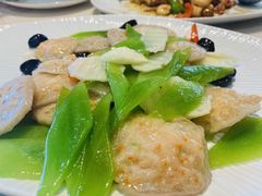 -丁老爷子苏香圆