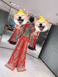 -GRACE KELLY婚纱与礼服(北京店)