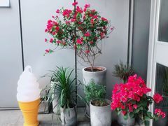 -dotcom coffee古点咖啡(致真大厦店)