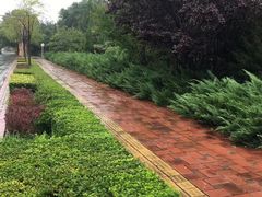 -府君山公园