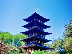 -北京世界公园