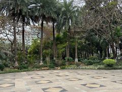 -黄埔荔枝公园