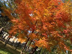 -长春市南湖公园