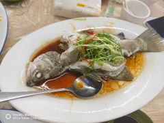 清蒸石斑鱼-梅姐海鲜餐厅(水头海鲜街店)