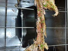 -香木香羊(小汤山店)