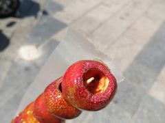 无核山楂糖葫芦-和禄德冰糖葫芦