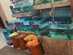 -鱼你相聚·河鲜馆(袁家岭店)