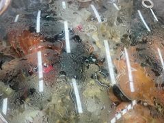 -仙螺岛海鲜自助餐厅(总店)