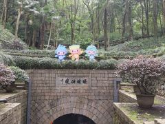 -瑶琳仙境
