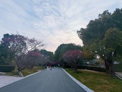 -无锡梅园公园