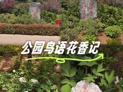 -洛阳市牡丹公园
