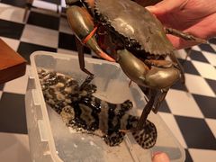 -亚特兰蒂斯·蟹餐厅 CRAB KITCHEN·鲜活海鲜