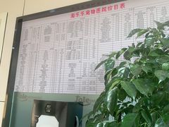 -凯瑞希宠物医院·狂犬免疫·微创·皮肤科