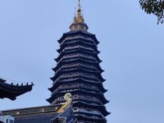 -红梅公园