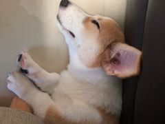 -OLD TREE老树咖啡·西餐厅(台山人工湖店)