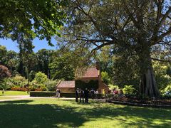 Captain cook’s cottage-斐兹洛伊花园