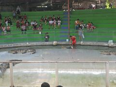 -是拉差龙虎园(Permanently closed)