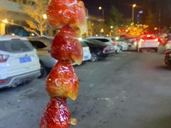 冰糖葫芦-元盛居(生态大街店)